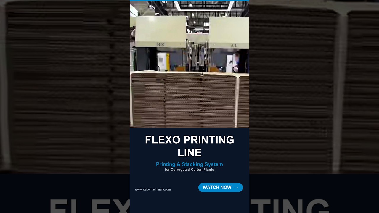Automatic Flexo Printing Line | Corrugated Carton Printing & Stacking System