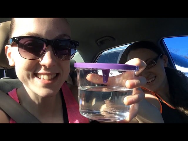 CHECK OUT MY NEW BETTA FISH (Topfin) AQUARIUM!!! 2.5 GALLON