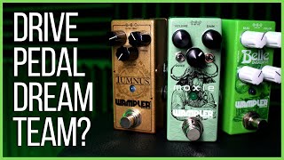 Video thumbnail for Wampler Moxie, Tumnus & Belle - Demo, Shootout & Stacking! by Dan Leggatt