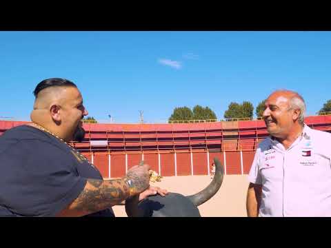 MANOUCH FAMILLIZ SHOW - LA MANOUCH FAMILLIZ A PERPIGNAN ( EPISODE 1 )