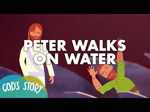 Witness21 Editor  2017 10 05