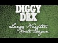 Diggy Dex - Roze Havaiana's (Live @ 3FM) 