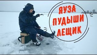 Яузское водохранилище отчеты о рыбалке 2019 пудыши