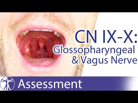 Cranial Nerve 9 & 10 Examination | Glossopharyngeal & Vagus Nerve Assessment for Physiotherapists