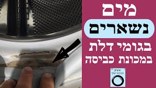 הצטברות של מים בגומי דלת של מכונת הכביסה | שירות מודיעין והסביבה איציק הטכנאי שלך