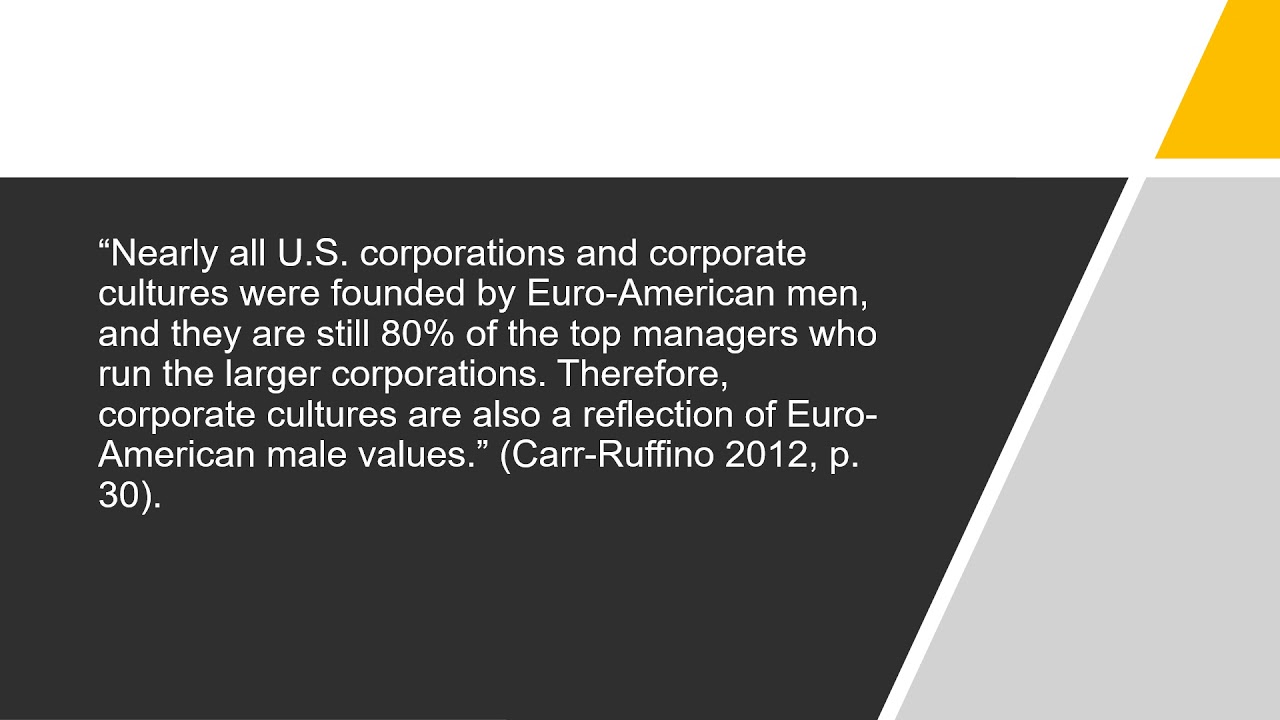 Diversity Audit Final Project pptx