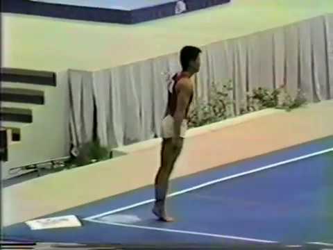 1985 World Gymnastics Championships - Men's Individual Apparatus Finals (Endo HV)