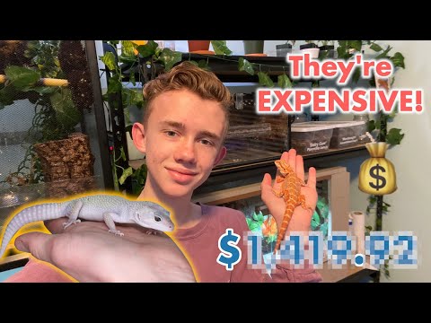 YouTube video about: How much do reptile vets cost?