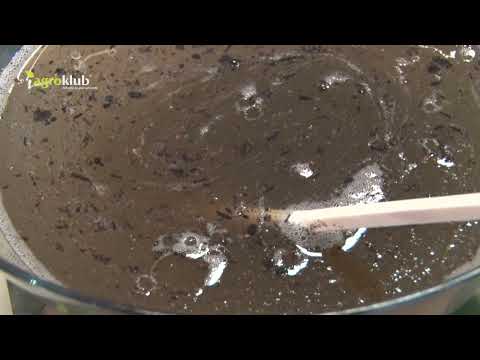 Kako nastaje glistenjak?