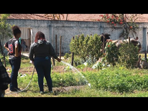 Escola em Cabo Frio ensina técnicas rurais e estimula o amor ao campo há quase três décadas