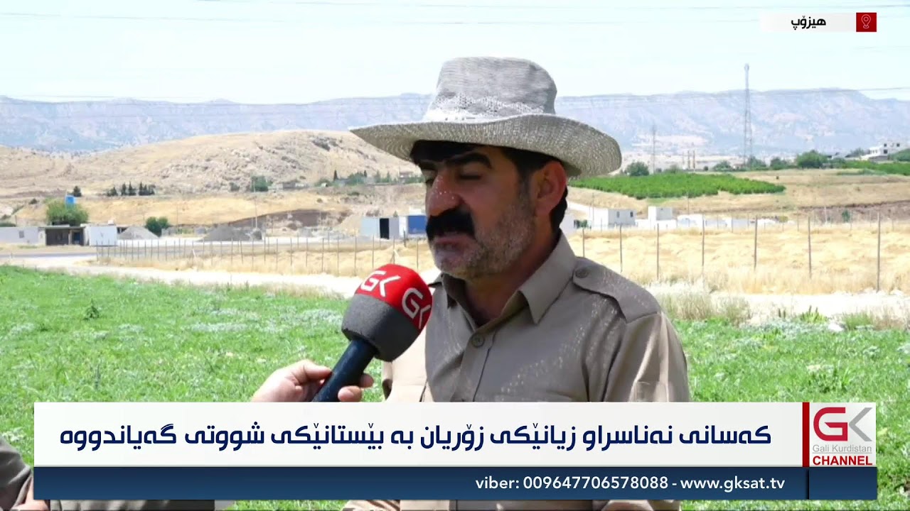 ڤیدیۆ | راستەوخۆ...كەسانی نەناسراو زیانێكی زۆریان بە بێستانێكی شووتی گەیاندووە
