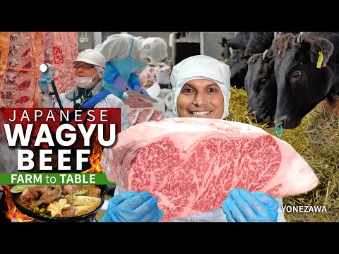 How Japanese Wagyu Beef is Graded | Farm to Table ★...