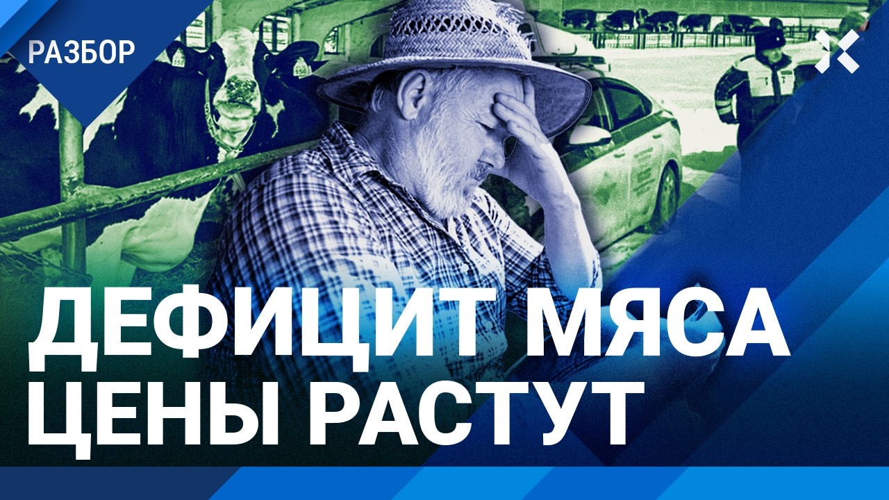 Власти обманом уничтожают коров. Цены на мясо растут. Дефицит говядины в Рос?
