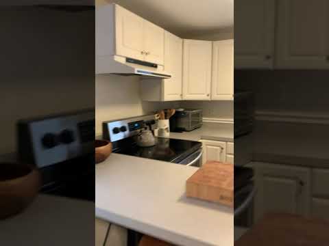 2556 CG FEINBERG - Magnolia - Video 2 of 2