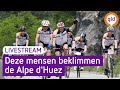 Alpe d'HuZes 2023 | LIVESTREAM