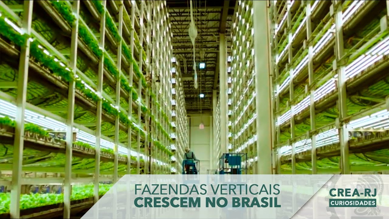 Fazendas verticais crescem no Brasil l Crea-RJ Curiosidades