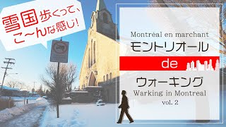 【モントリオール】カナダの冬に外歩くとこんな感じ - 散歩できるよ！