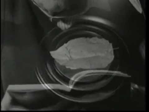 La Vida Ese Paréntesis - Intro - Tania Libertad/Mario Benedetti