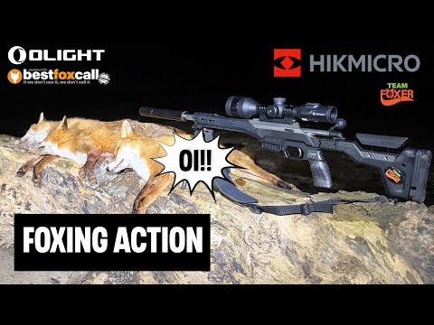 Fox Control using my favourite thermal scope the HIKMICRO Stellar SQ50L 3.0