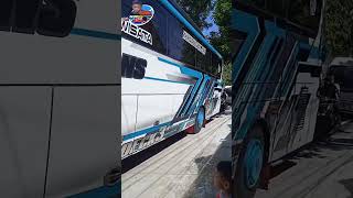 Download lagu om tololet om #shorts #vidio #bus mp3