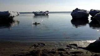 KATATONIA Departer KRISTER LINDER