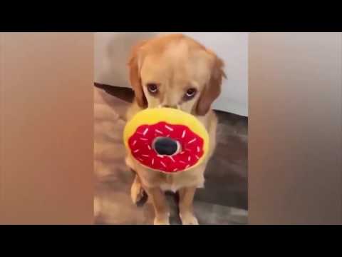 10 МИНУТ ОТБОРНЫХ ПРИКОЛОВ-СМЕХ ДО СЛЕЗ УГАР-РЖАКА