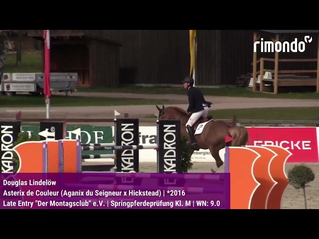 The 6-year-old Asterix de Couleur (Aganix du Seigneur x Hickstead) is on his way to becoming a champion. With his rider Douglas Lindelöw, the chestnut with the striking markings won the Bundeschampionat qualifier at the RV Der "Montagsclub" e.V. show