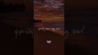 Download lagu ඇහෙනවද ගැහෙන හදවත මගේ🥺❤️Ahenawada gahena hadawatha mage song whstapp status video  #fyp #Love #song mp3