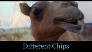 Dubai Shit Travis Scott video unofficial