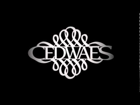 CEDWAES ŁNŁ - N1R (Adrenaline Beatz Productions)