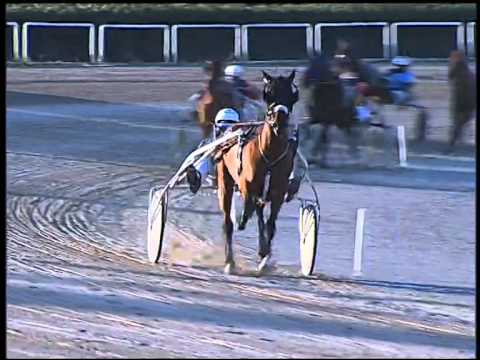 Trotto 30/12/2014 - 1° corsa