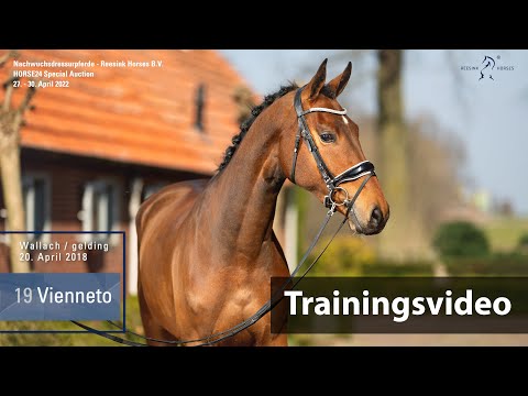 Special Auction Reesink Horses Training Lot 19 Vienneto Wallach  v. Vitalis - Fürst Romancier