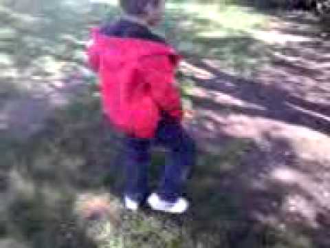 junior la anguila pirri