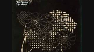 Everything But The Girl Corcovado.flv