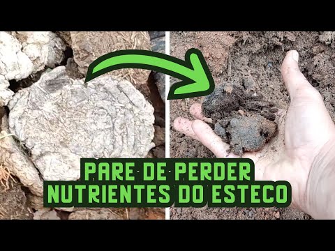 Como curtir ESTERCO RÁPIDO e SEM PERDER NUTRIENTES