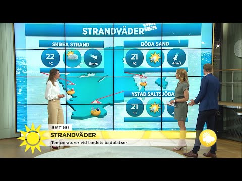 "Ser ut att bli en fin dag på stranden" - Nyhetsmorgon (TV4)