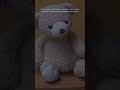 Thief Was Hiding Inside A Stuffed Bear | Did He Got Away?