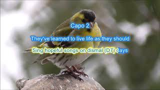 Winterwood by Don McLean play along with scrolling guitar chords and lyrics