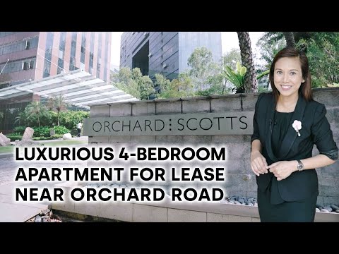 Orchard Scotts, 11 Anthony Road, 4 Bedrooms, 2,680 sqft, Condominium For Rent, by Ella Sherman, 23898815 - PropertyGuru.com.sg
