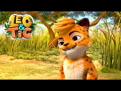 Leo and Tig  🦁  Pango the Magnificent 🐯 Best episodes  🦁  Funny Family Animated Cartoon for Kids