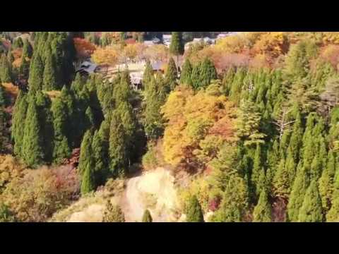 ドローン空撮：ツリーピクニック アドベンチャー いけだ(福井県池田町)