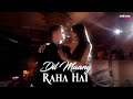 Dil Maang Raha Hai Slowed And Reverb Insane Ashraf