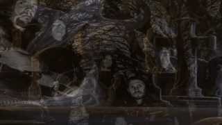 PORTRAIT (Swe) - We were not alone (2014)