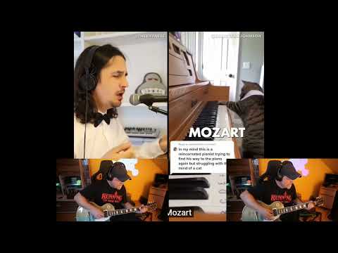 Mozart Cat X Alugalug Cat 2.0 X The Kiffness X Rock Version X Guitar X Solo #cat #mozart #fun