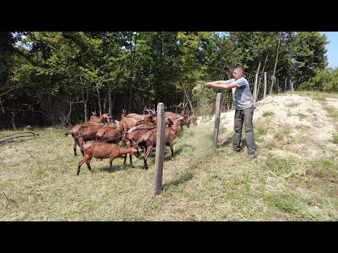 "U BiH sve imamo, niko nam ne treba, ali moramo brinuti o svojim radnicima!"