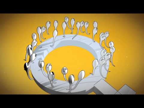 Tabletka Po - antikoncepcia a iné lieky