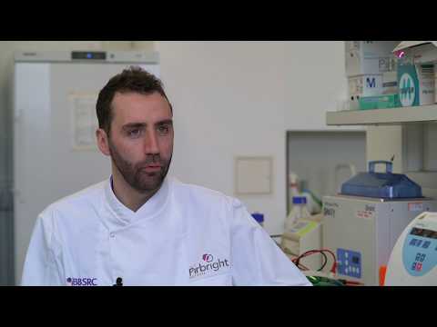 Viral Glycoproteins | The Pirbright Institute
