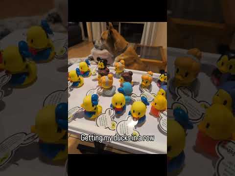 Thumbnail for Disney Cruise Alaska, I'm coming for you!  #disneycruise #disneyalaskacruise