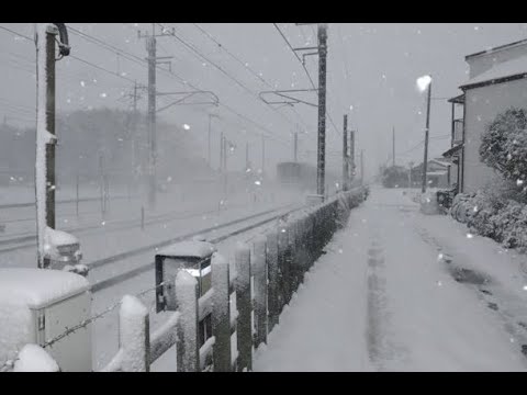 *free* yandere x hyperpop x digicore type beat "free." | @prod._jhai