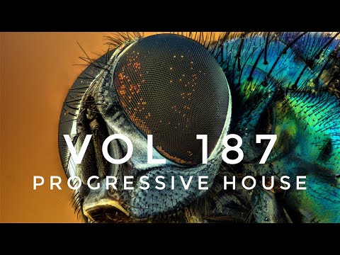 Vol 187 - Progressive House